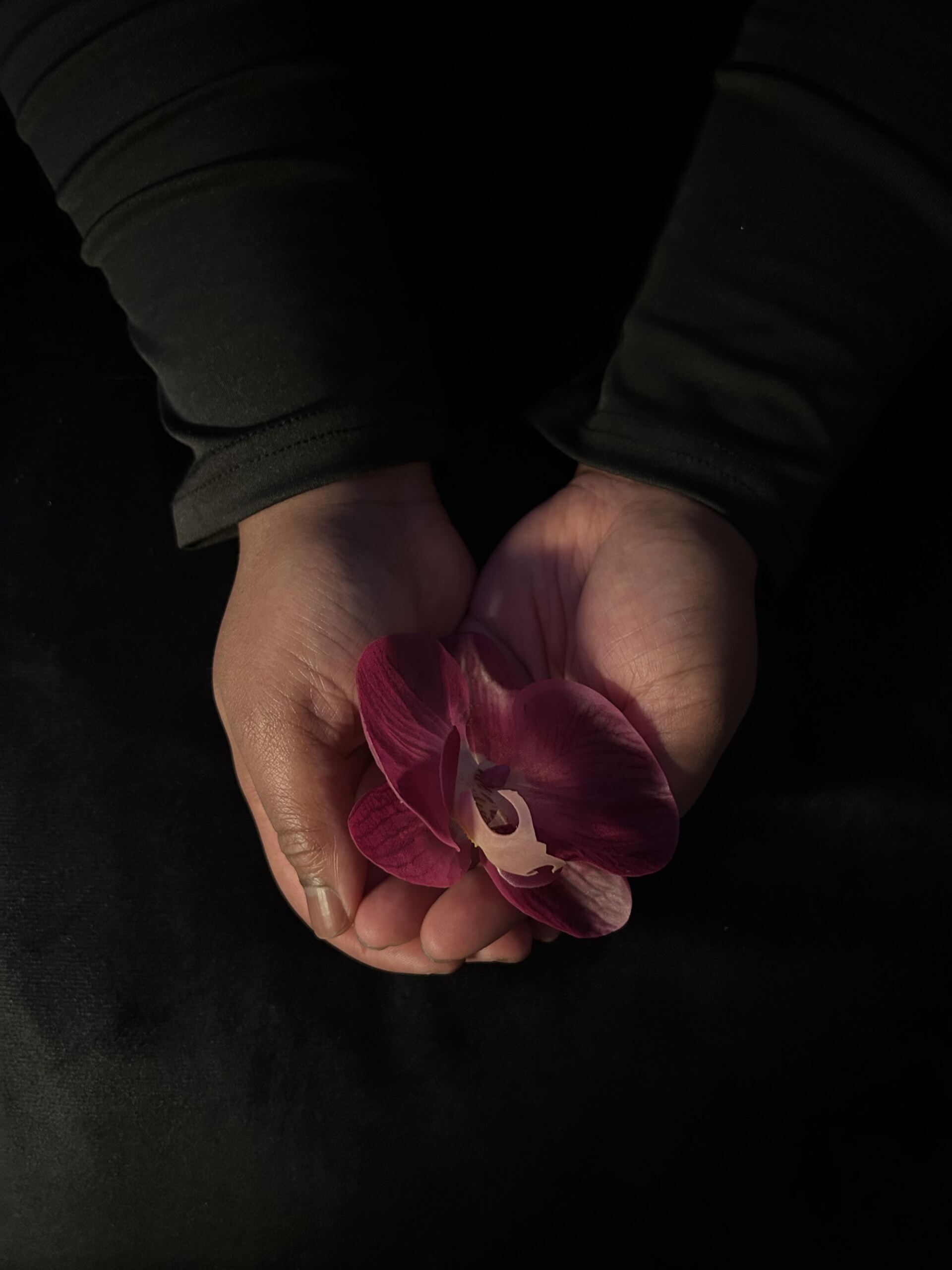 Orchidée offerte au creux des mains, symbole des clientes Orchidées
