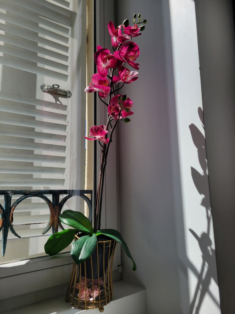 Accueil — Institut de beauté et massage à Royat Orchidée rose devant la fenêtre de l’institut à Royat