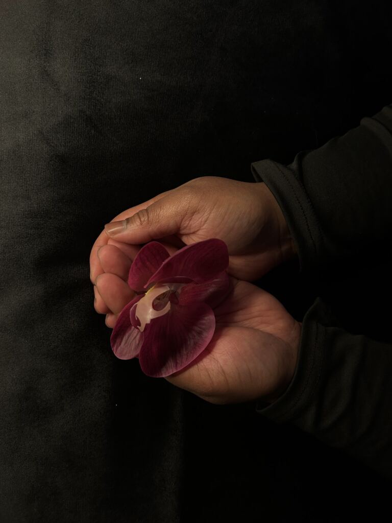 Orchidée délicatement tenue entre les mains de la praticienne