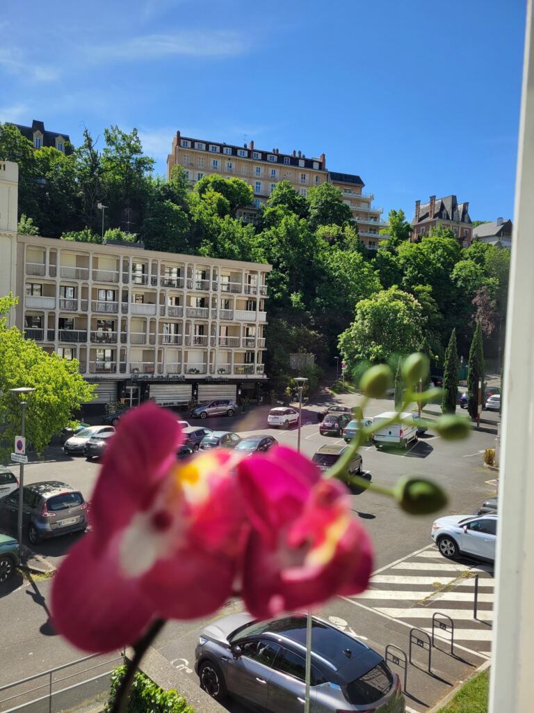 Accueil — Institut de beauté et massage à Royat Vue sur Royat depuis la fenêtre de l’institut, orchidée au premier plan